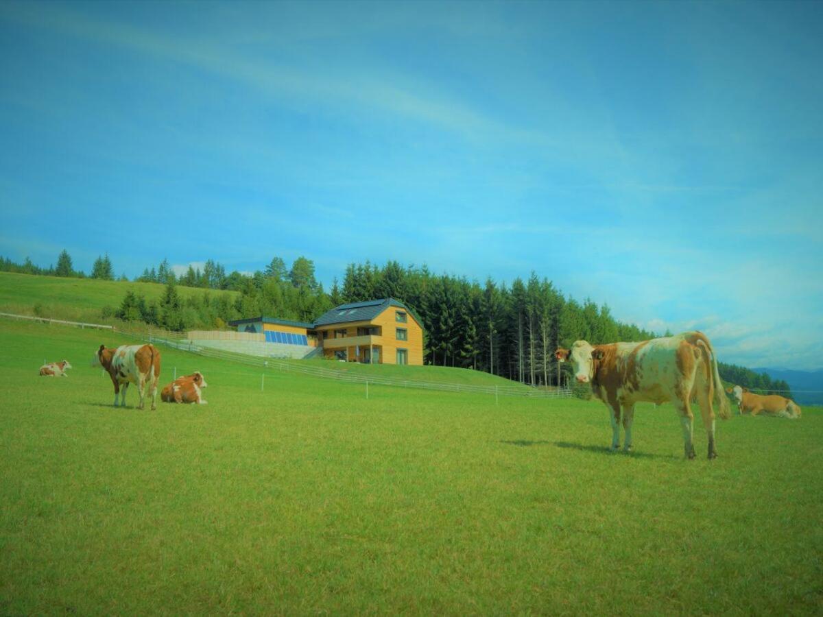 Chalet Traumblick Mauterndorf (Salzburg) Exterior foto